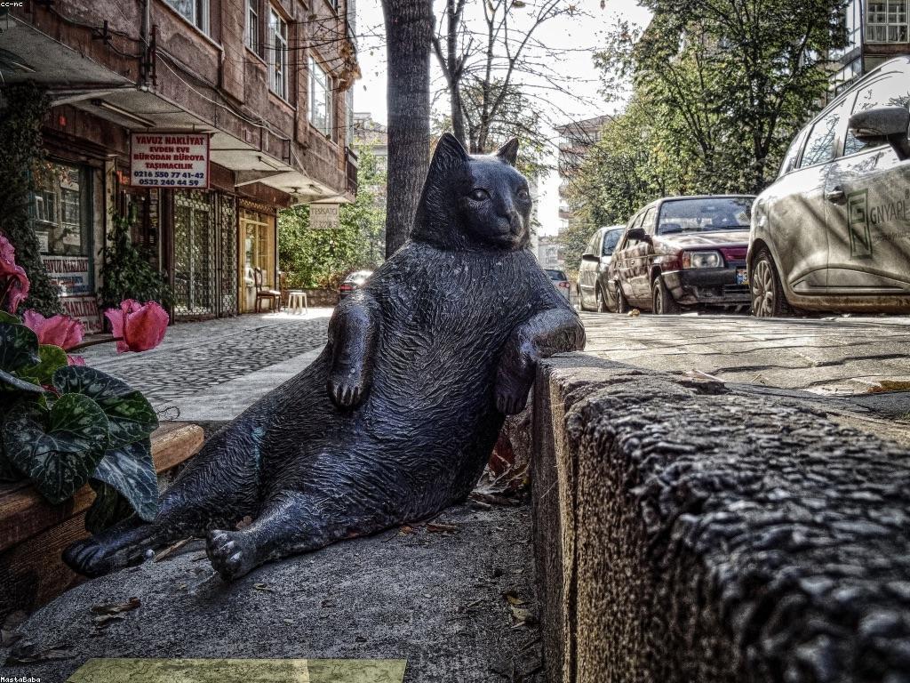 យុទ្ធសាស្ត្រសម្រាប់ការបាការ៉ាត់: ការបង្កើតនិងធ្វើអោយមានភាពជោគជ័យ