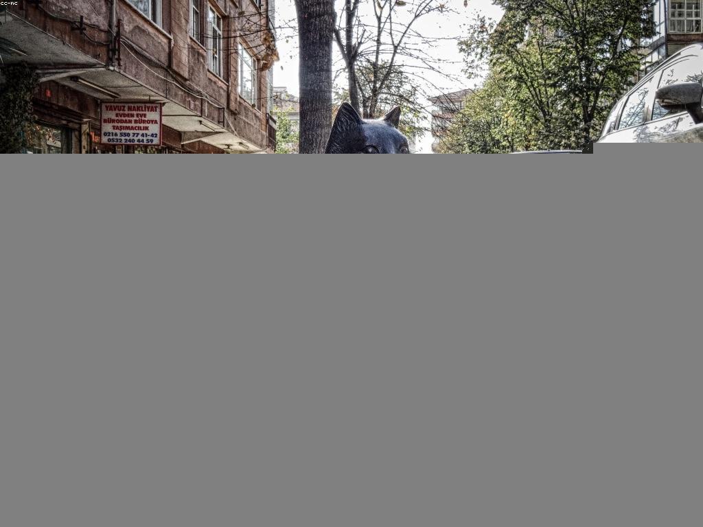 យុទ្ធសាស្ត្រសំរាប់ការបฝึกសូម្បីអំពីការបាការ៉ាត់