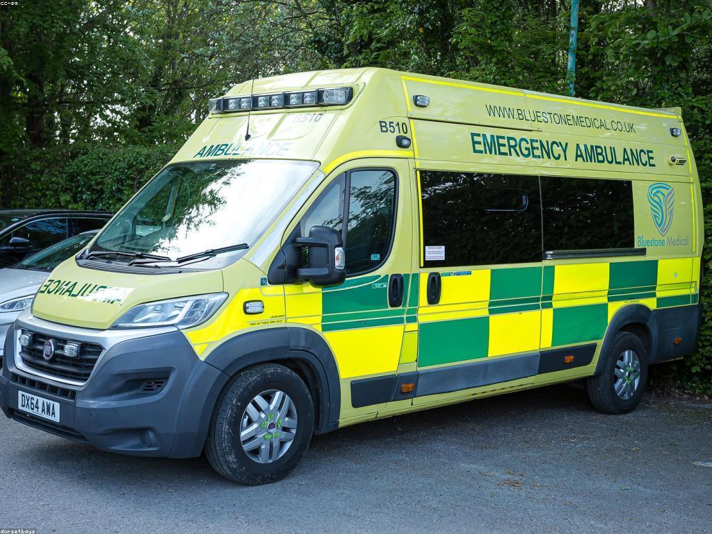 ព្រឹត្តិការណ៍និងផ្សាយព្រេង: ការប្រារព្ធពិធីនិងការចែករំលែករឿងរ៉ាវ