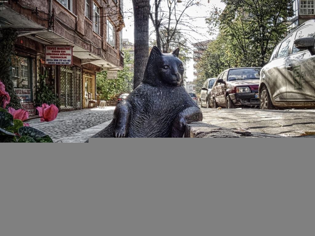 ការយល់ដឹងអំពីមូលដ្ឋាននៃបាការ៉ាត់